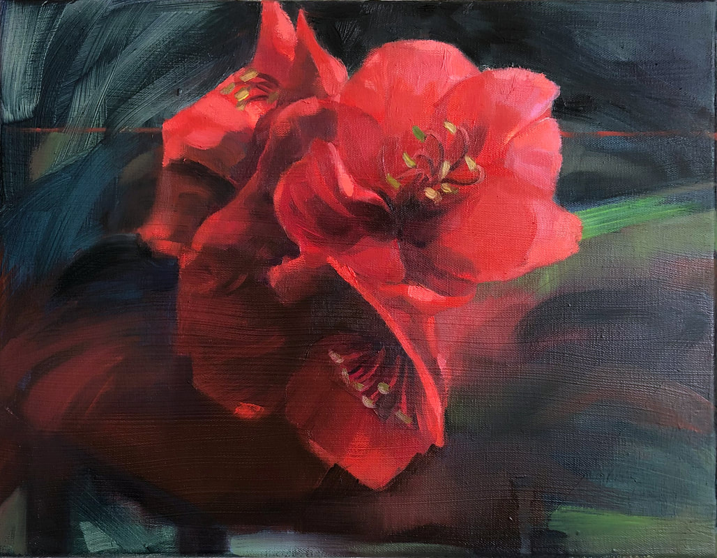 floral oil painting, amaryllis flower painting